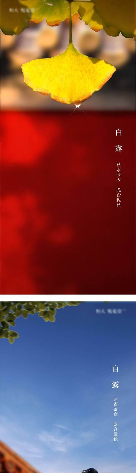源文件下載【地產白露系列海報】編號：99290003656076374