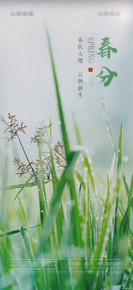 源文件下载【春分节气移动端海报】编号：20210316175442171