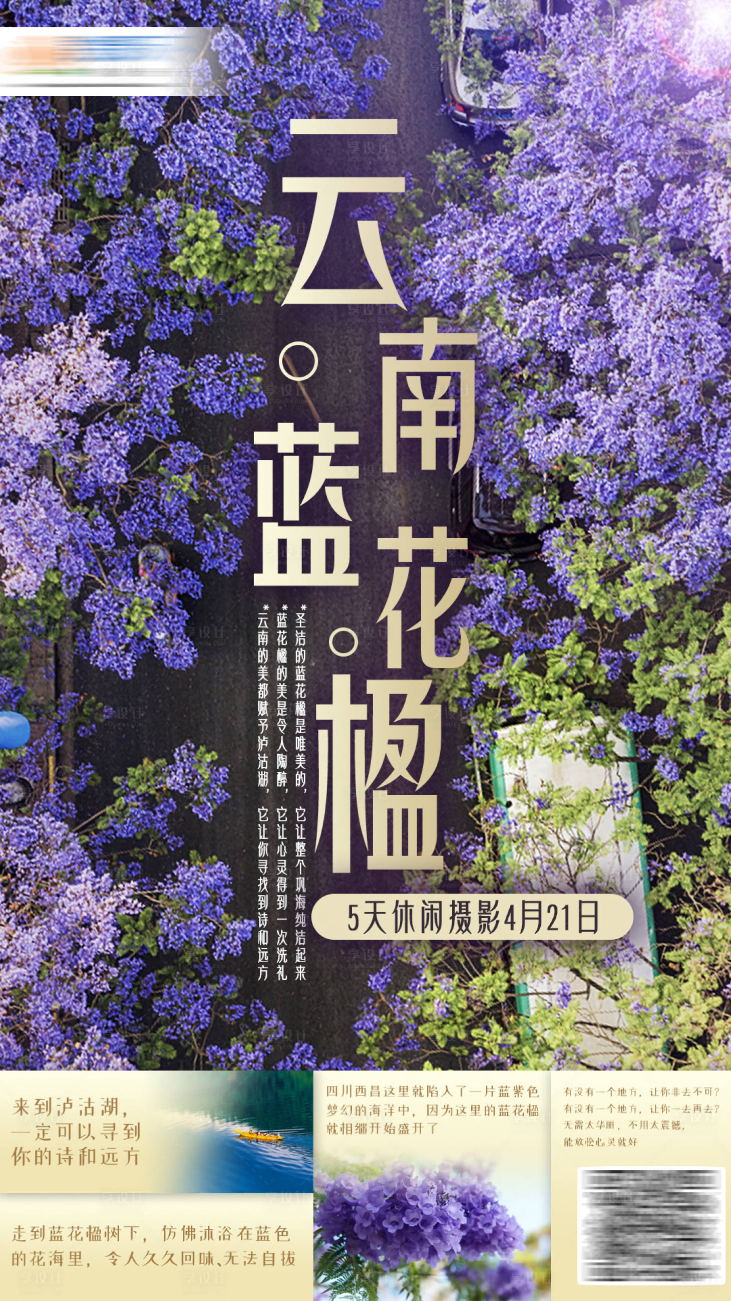 源文件下载【云南蓝花楹旅游海报】编号：78170004050211189
