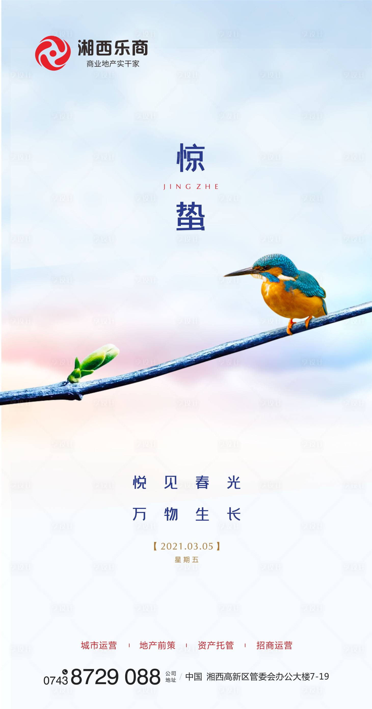 源文件下载【惊蛰海报】编号：59460003698004793