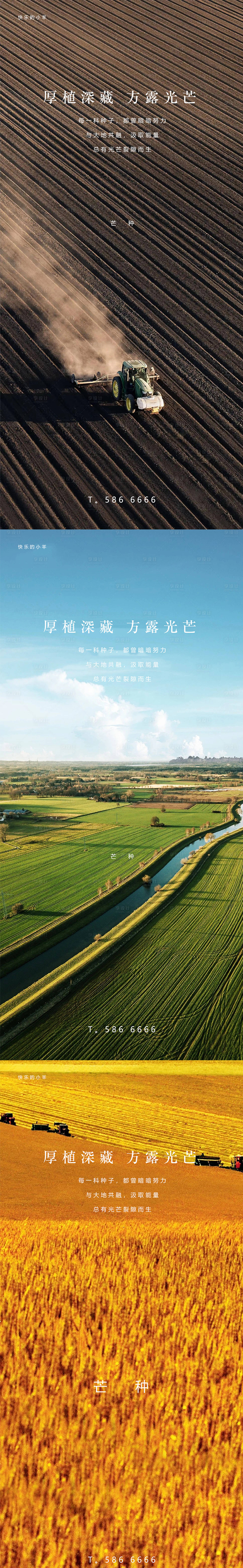源文件下载【芒种节气海报】编号：90870003699129819