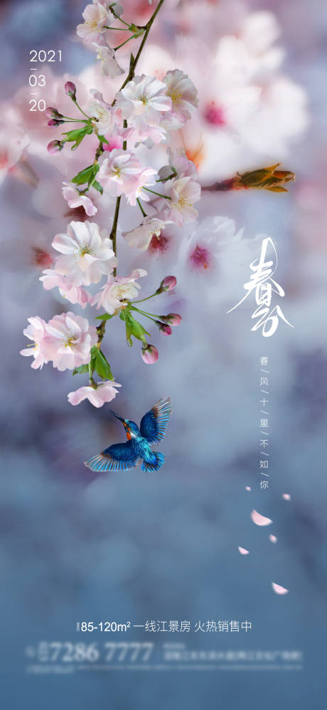 源文件下载【享设计】搜索编号：19150003996613319【春分节气移动端海报】