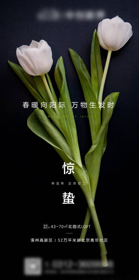 源文件下载【惊蛰地产海报】编号：93730003680123626