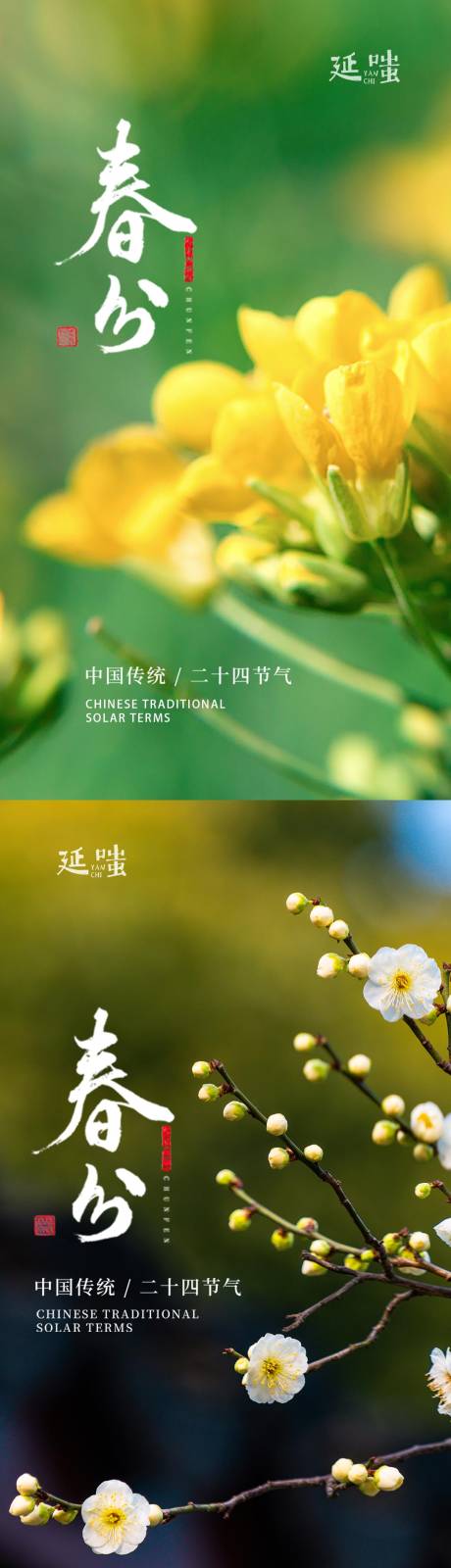 源文件下载【享设计】搜索编号：47070003885934591【春分简约系列海报】
