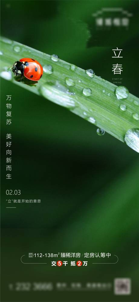 立春