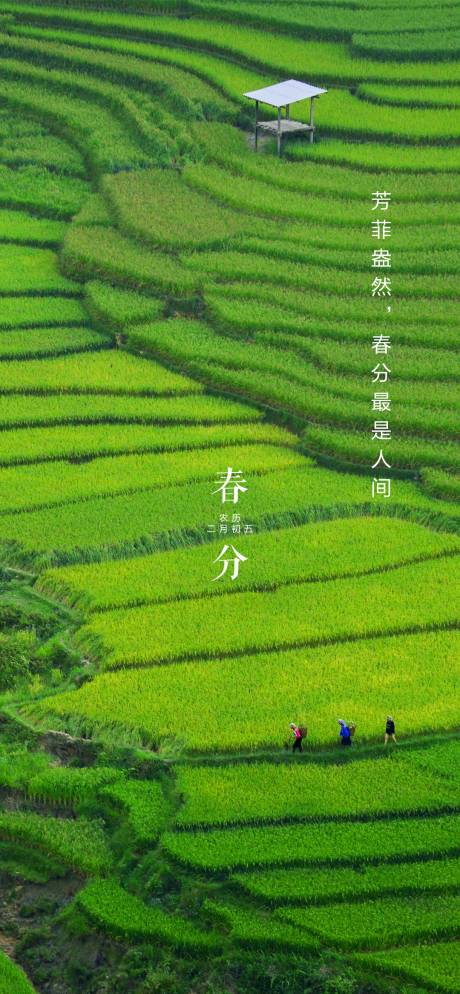 源文件下载【春分节气 】编号：51560003889702743