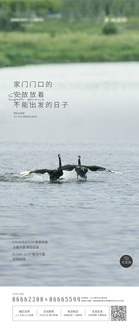 源文件下載【地產水景廣告】編號：53830003734645769