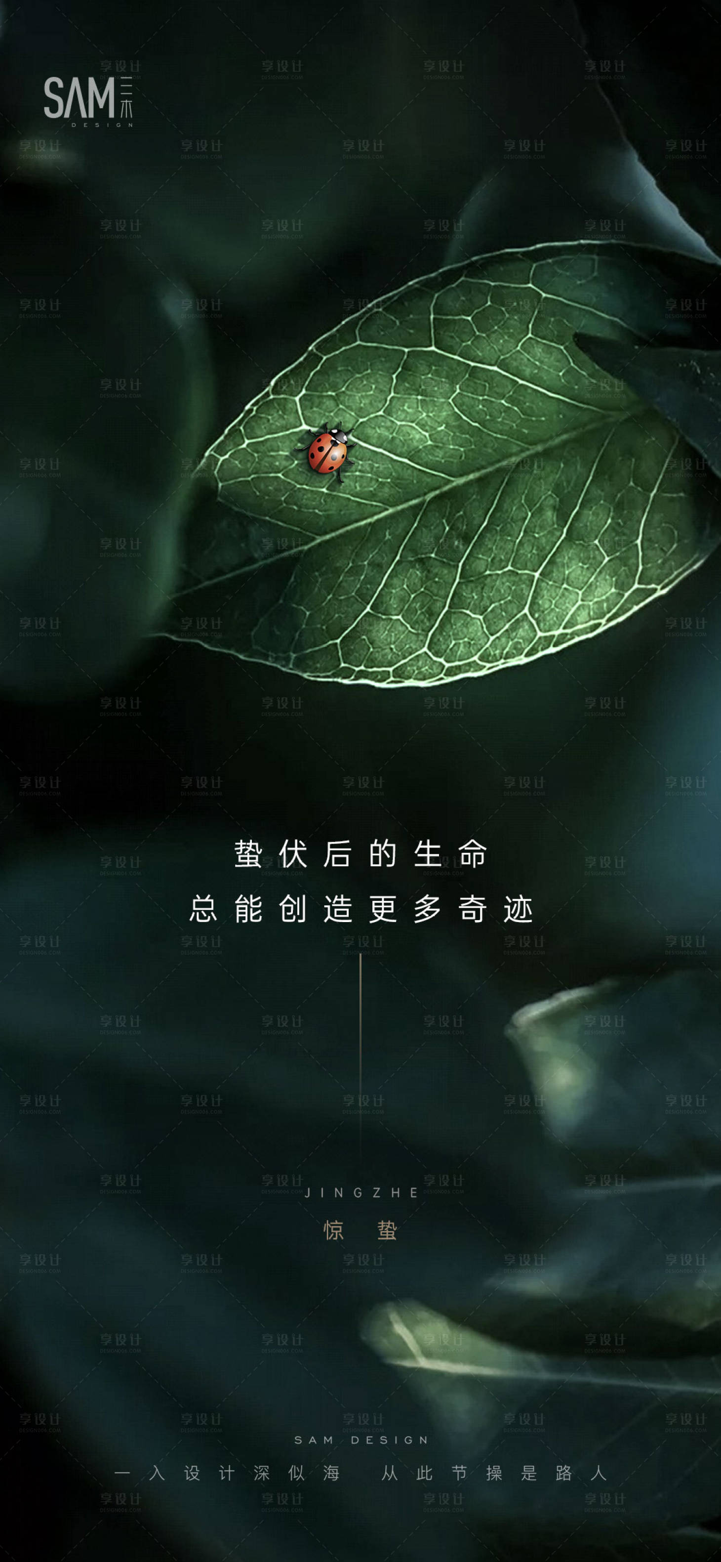 源文件下載【享設計】搜索編號：37020003715461955【地產節氣驚蟄海報】
