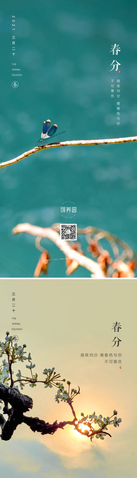 源文件下载【春分节气移动端海报】编号：56980003887422043