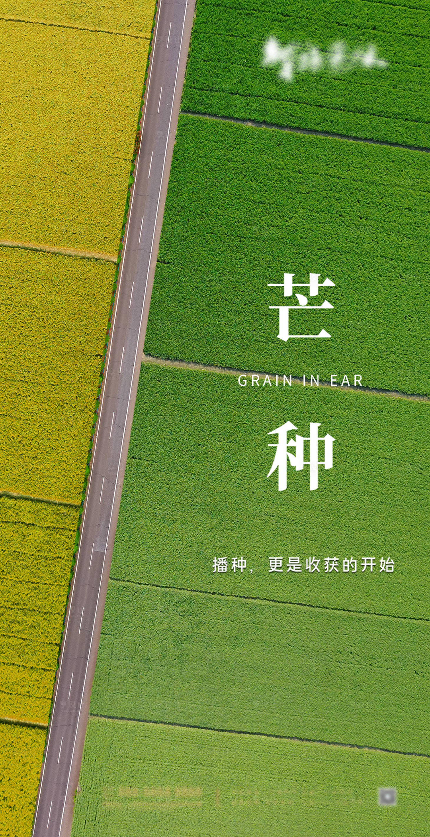 源文件下载【享设计】搜索编号：52500003954841752【高端大气芒种节日地产海报】