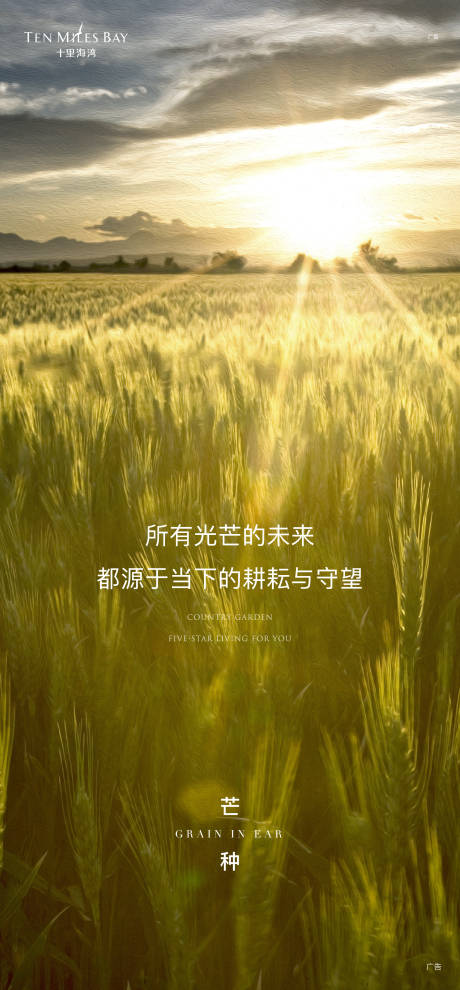源文件下载【地产芒种节气微信海报】编号：78860004173149507