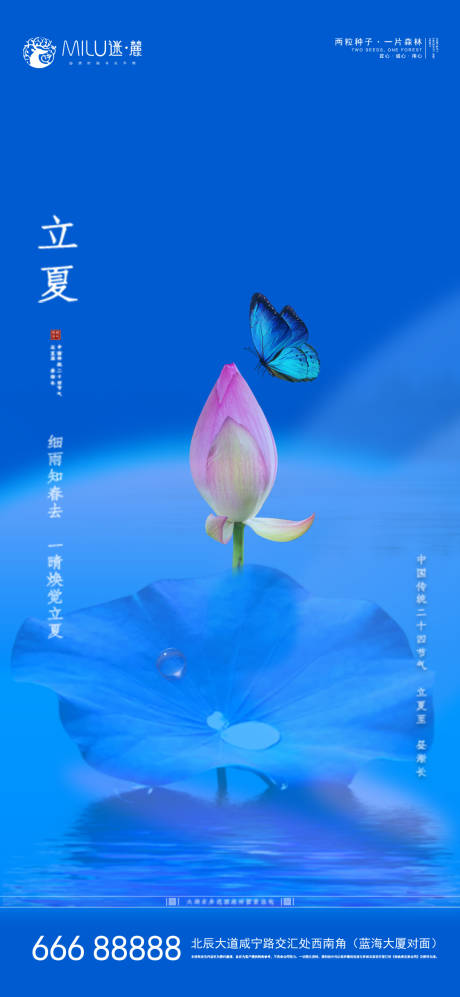 源文件下载【立夏节气海报】编号：85760004394622965