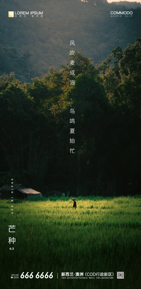 源文件下载【二十四节气芒种地产海报】编号：98790004364632600