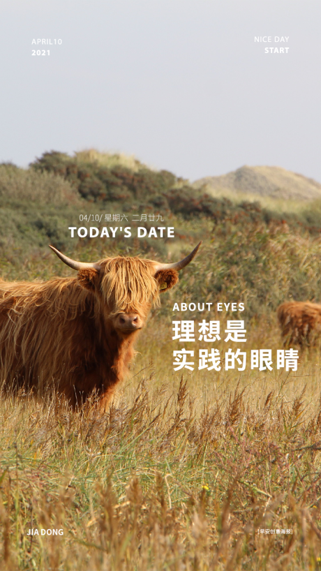 源文件下载【早安动物 】编号：99920004303803670