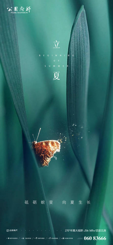 源文件下載【微距立夏閃屏】編號：81010004439538921