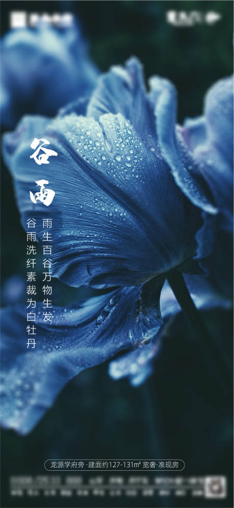 源文件下载【地产谷雨节气海报】编号：91320004323394931