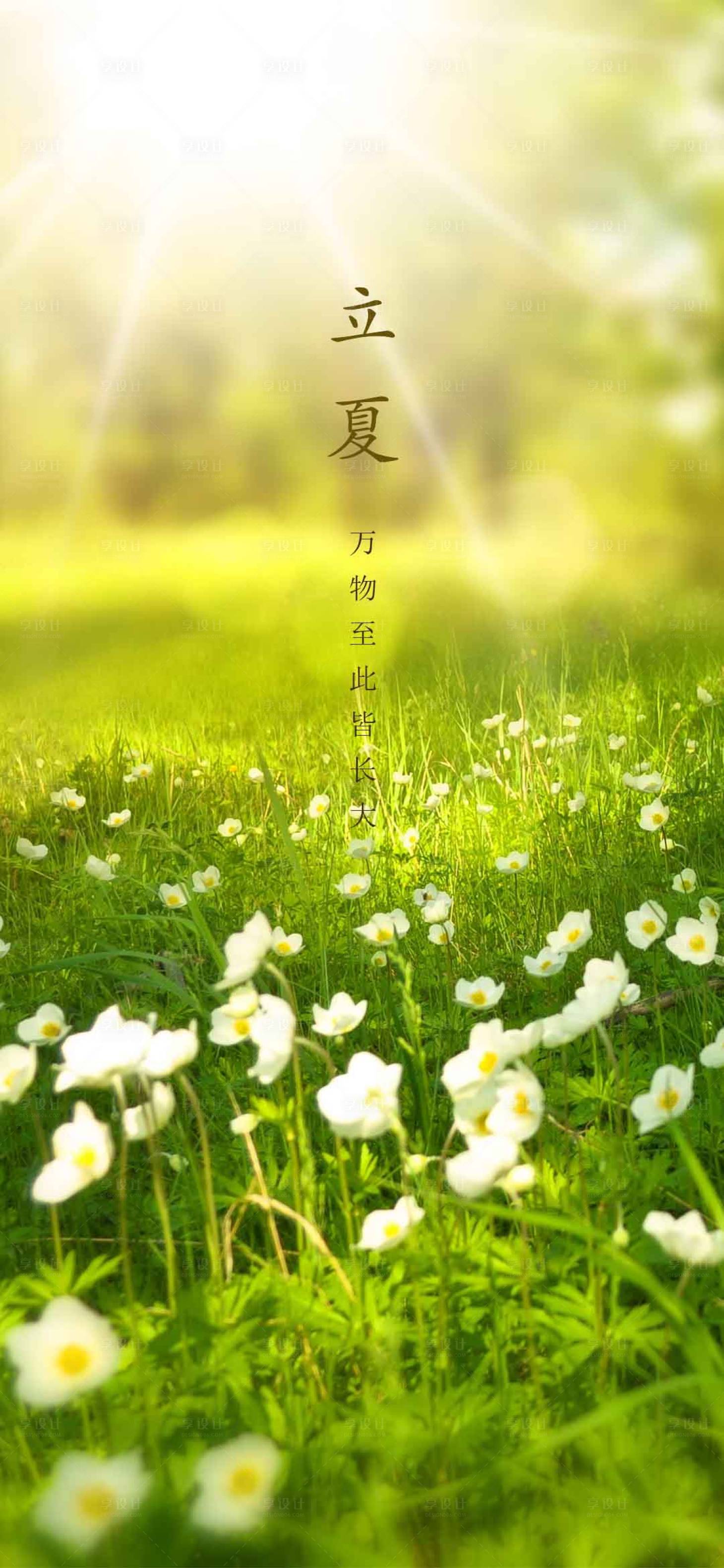 源文件下载【享设计】搜索编号：71480004332935963【立夏海报】
