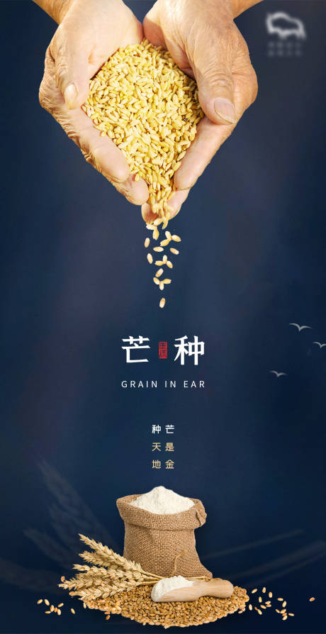 源文件下載【享設(shè)計】搜索編號：19390004452936658【芒種節(jié)日海報】