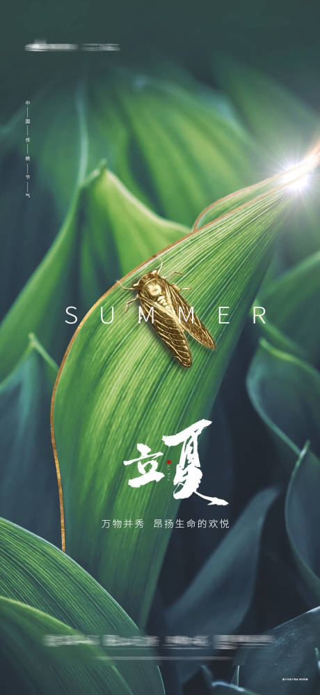 源文件下載【立夏節氣海報】編號：97570004391297405