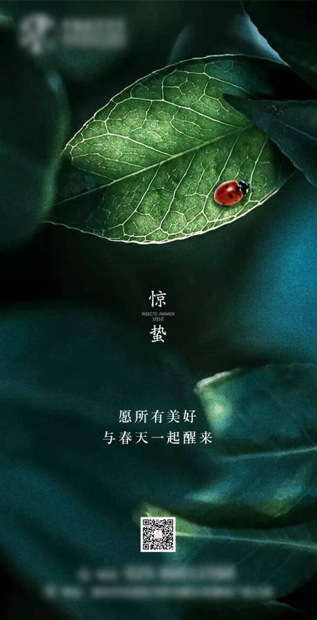 源文件下载【享设计】搜索编号：34820004384653552【惊蛰海报】