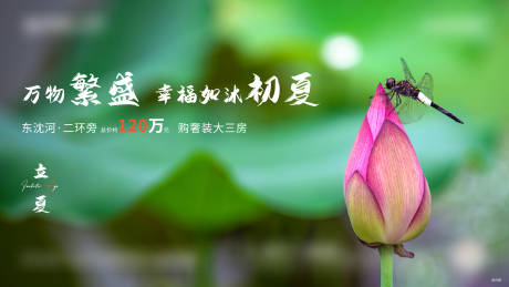 源文件下载【立夏节气海报】编号：41610004450188751