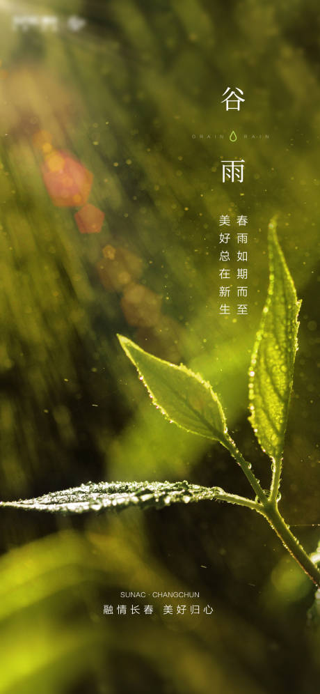 源文件下载【房地产节气谷雨海报】编号：63900004196592433