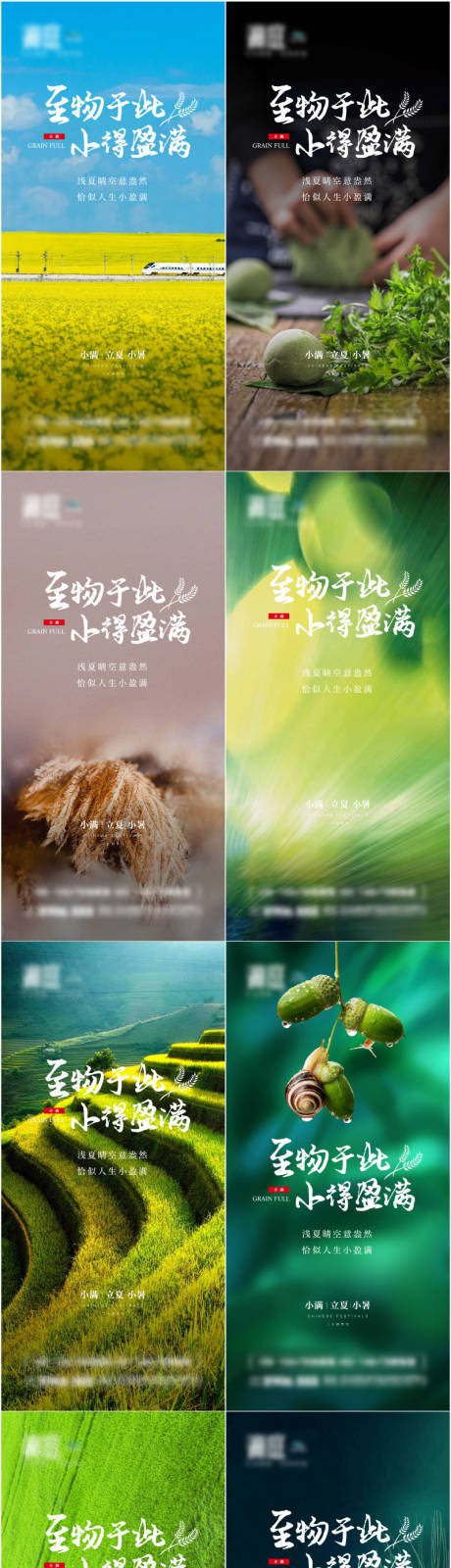 源文件下載【小滿小暑大暑立夏二十四節氣宣傳海報】編號：66090004290007862