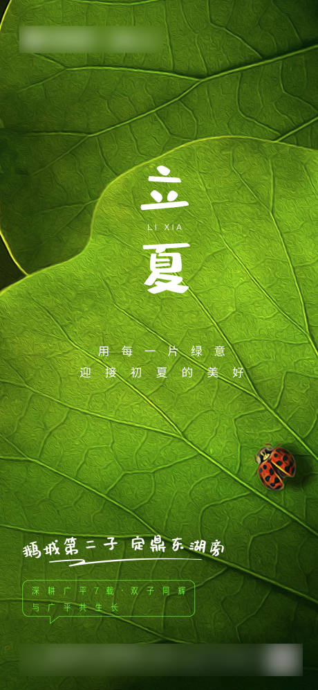 源文件下载【立夏节气海报】编号：78940004412362079