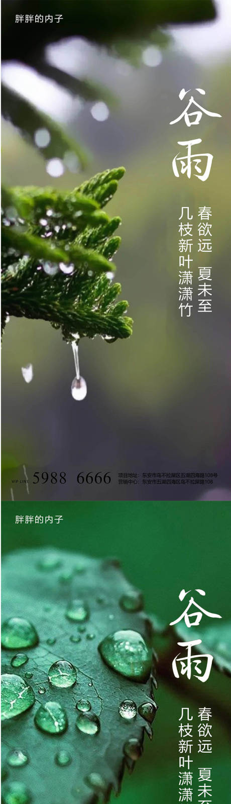 源文件下載【谷雨節氣海報】編號：17990004105468458