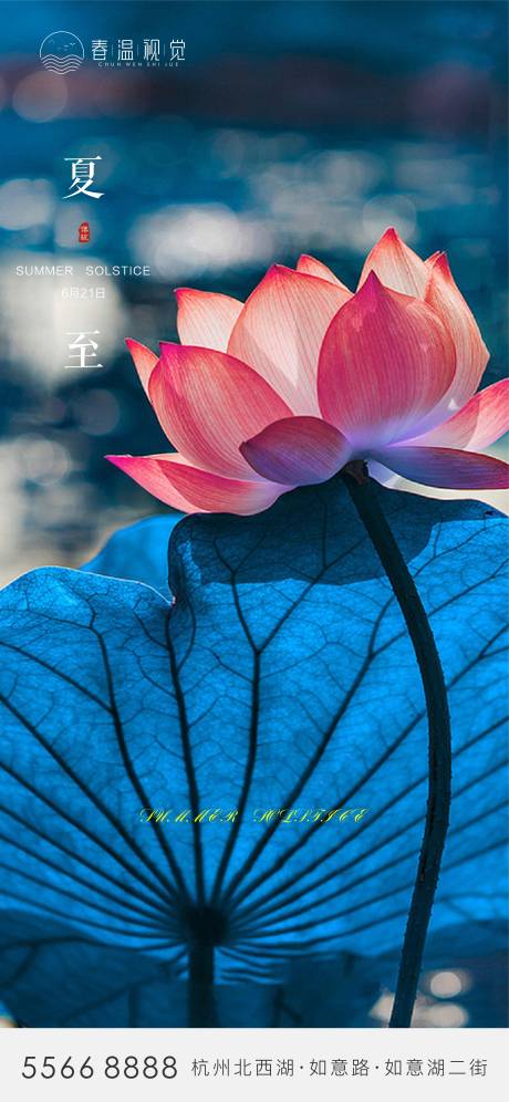 源文件下载【夏至节气海报】编号：63180004468401307