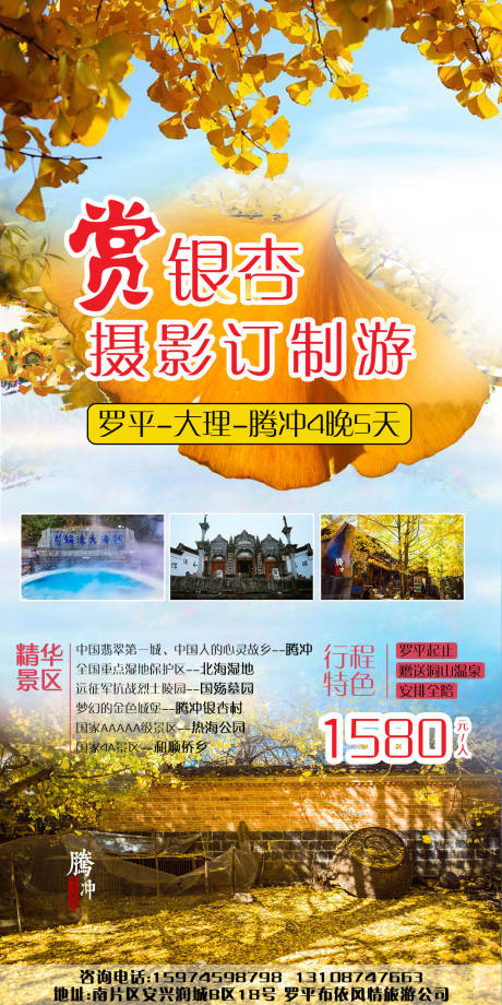 源文件下载【赏银杏】编号：55790004418121344