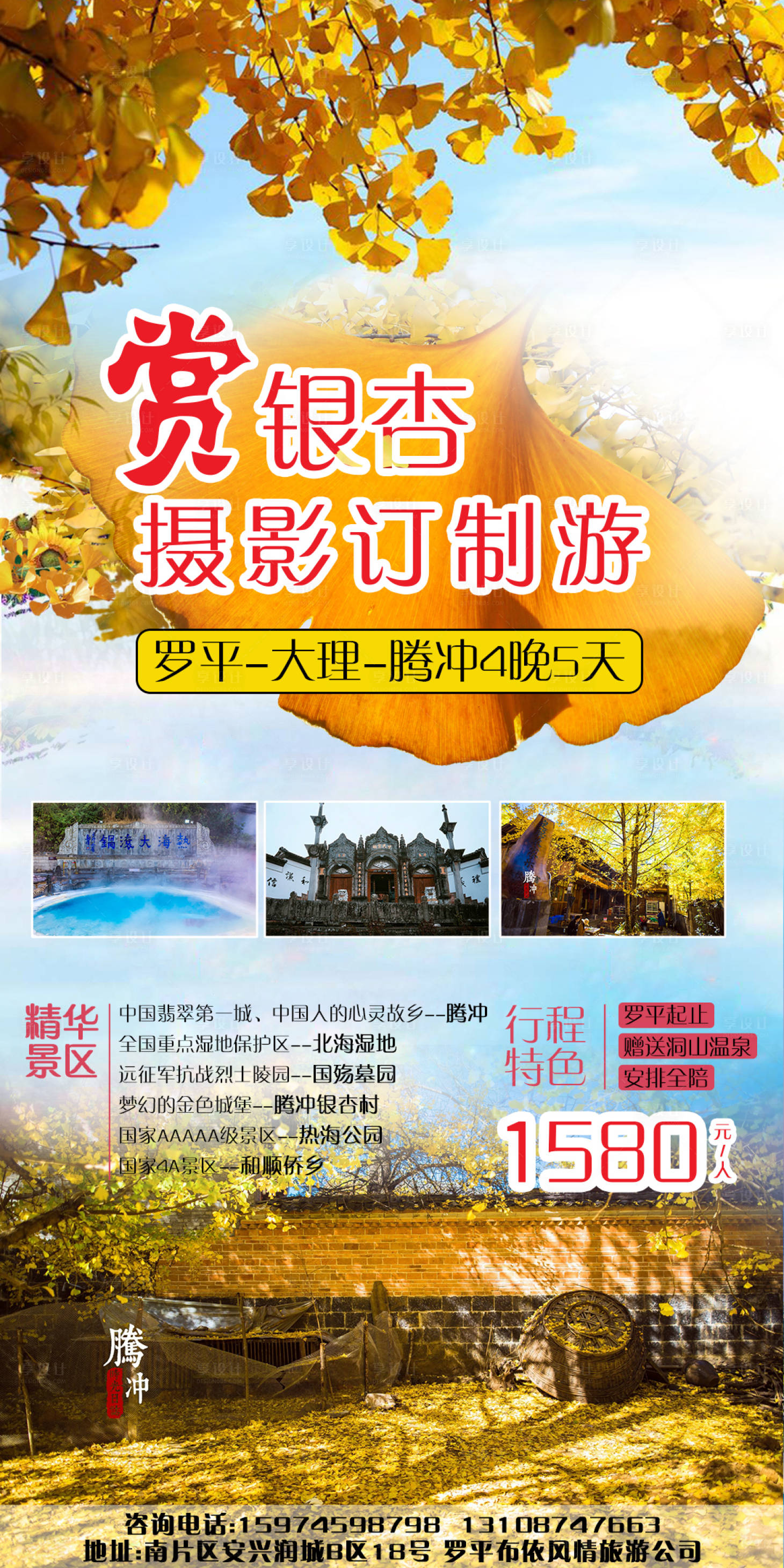 源文件下載【享設計】搜索編號：55790004418121344【賞銀杏】