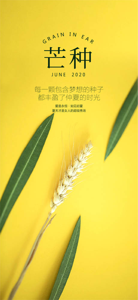 源文件下载【享设计】搜索编号：95140004475387003【芒种 】