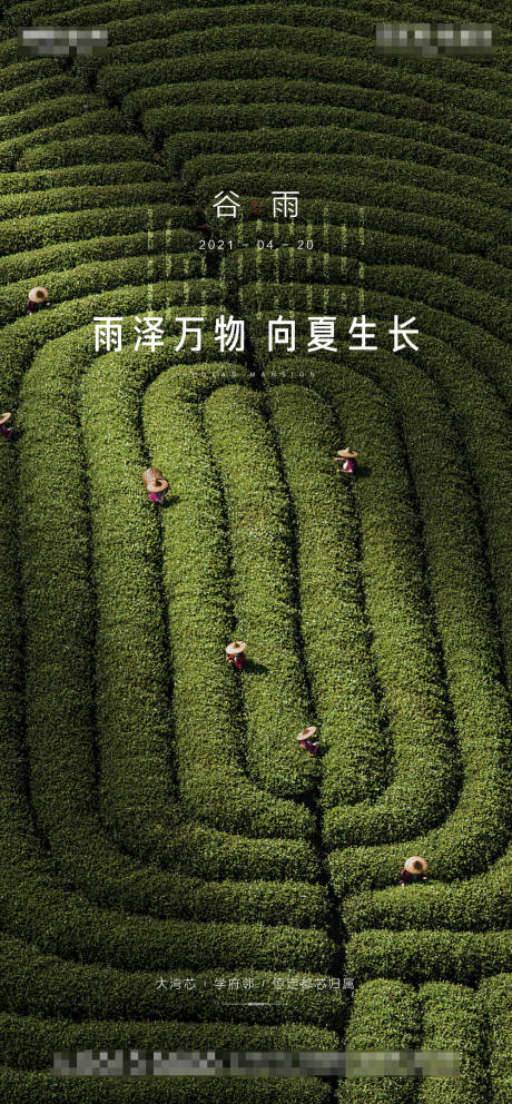 源文件下載【谷雨節氣單圖】編號：65970004227976848