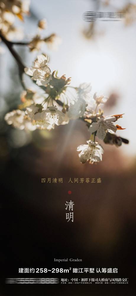 源文件下载【地产清明节气海报】编号：51870004107379209