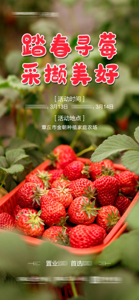 地产草莓采摘海报-源文件【享设计】