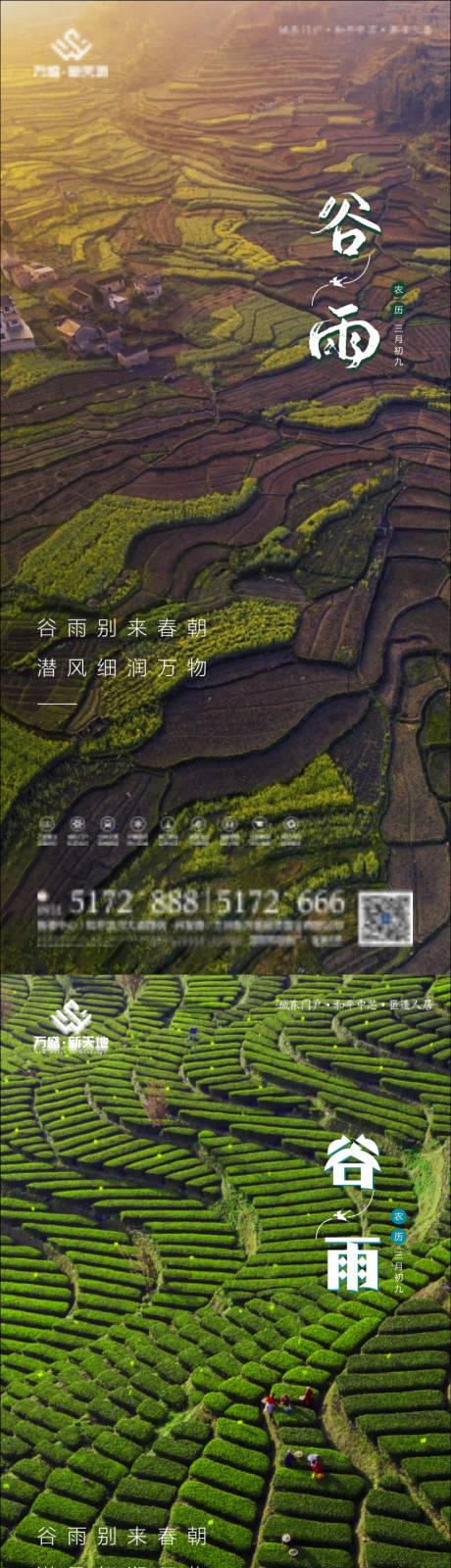 源文件下载【谷雨节气海报系列】编号：33820004381372452