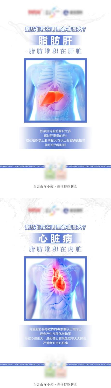源文件下载【享设计】搜索编号：59140004360973771【微商脂肪与疾病系列海报】