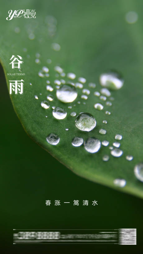 源文件下载【地产谷雨海报】编号：82890004159787780