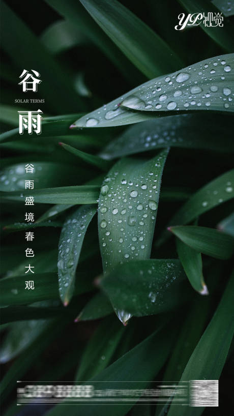 源文件下载【地产谷雨节气海报】编号：20210408112151815