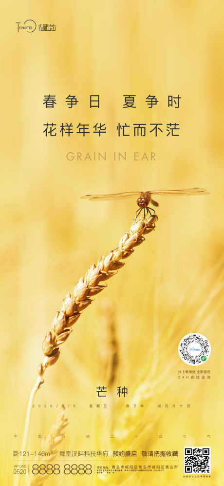 源文件下载【享设计】搜索编号：58300004137714715【芒种节气海报】