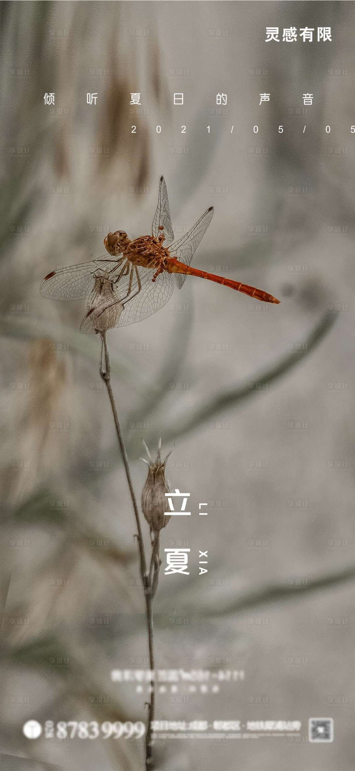 源文件下载【享设计】搜索编号：97510004423552113【立夏】