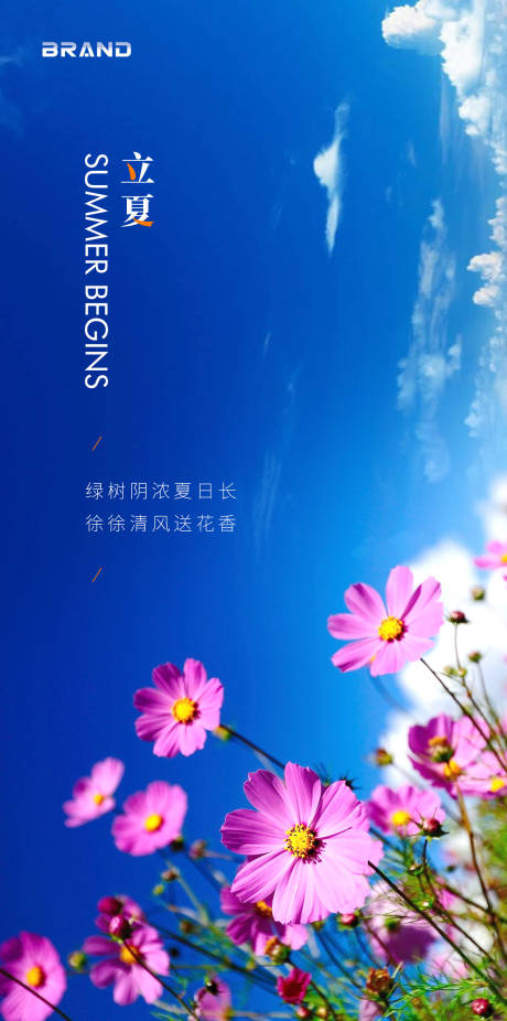 源文件下載【立夏節氣海報】編號：30710004432869645