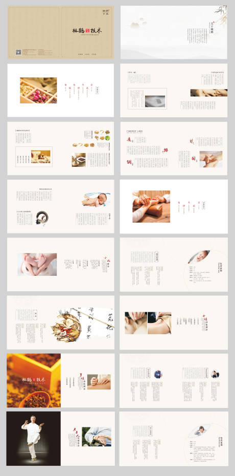 新中式中医项目手册