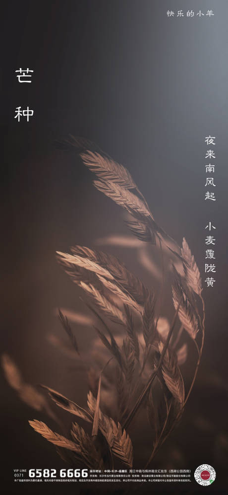 源文件下载【芒种节气海报】编号：20210420221926894
