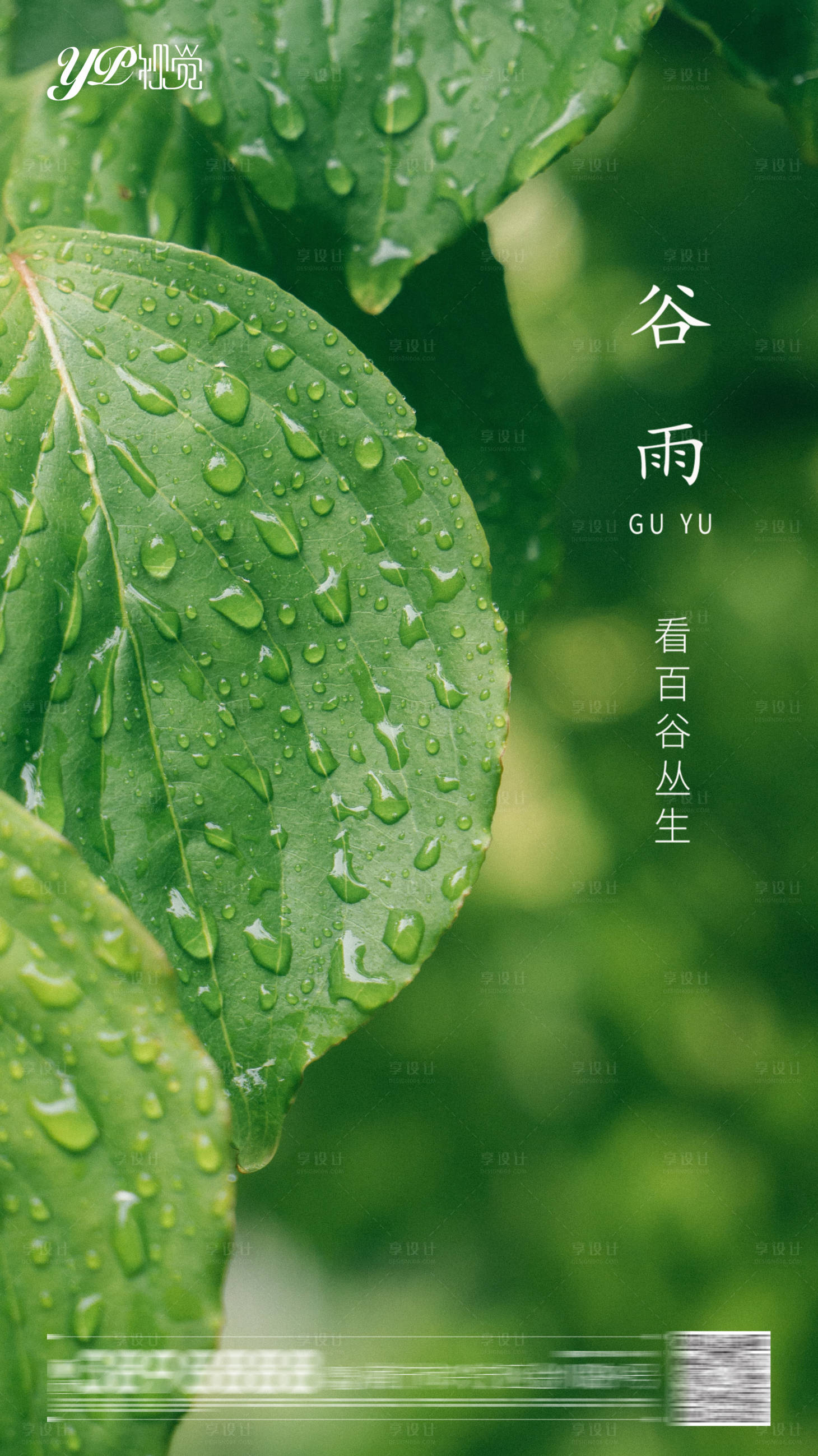 源文件下載【享設計】搜索編號：17070004155849173【谷雨節氣海報】