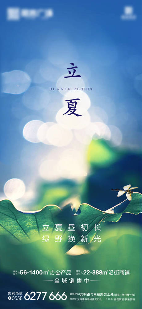 源文件下载【立夏节气海报】编号：56690004466518244