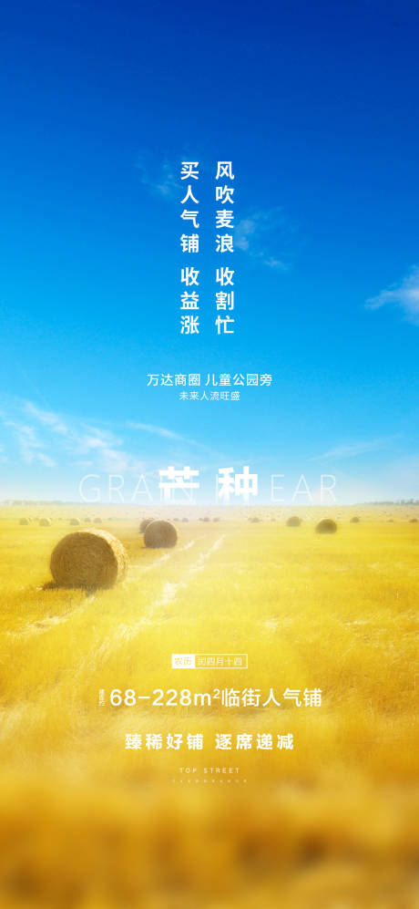 源文件下载【地产芒种海报】编号：46310004369497093