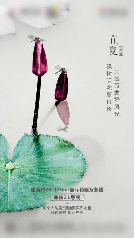 源文件下载【二十四节气立夏】编号：64060004437677973
