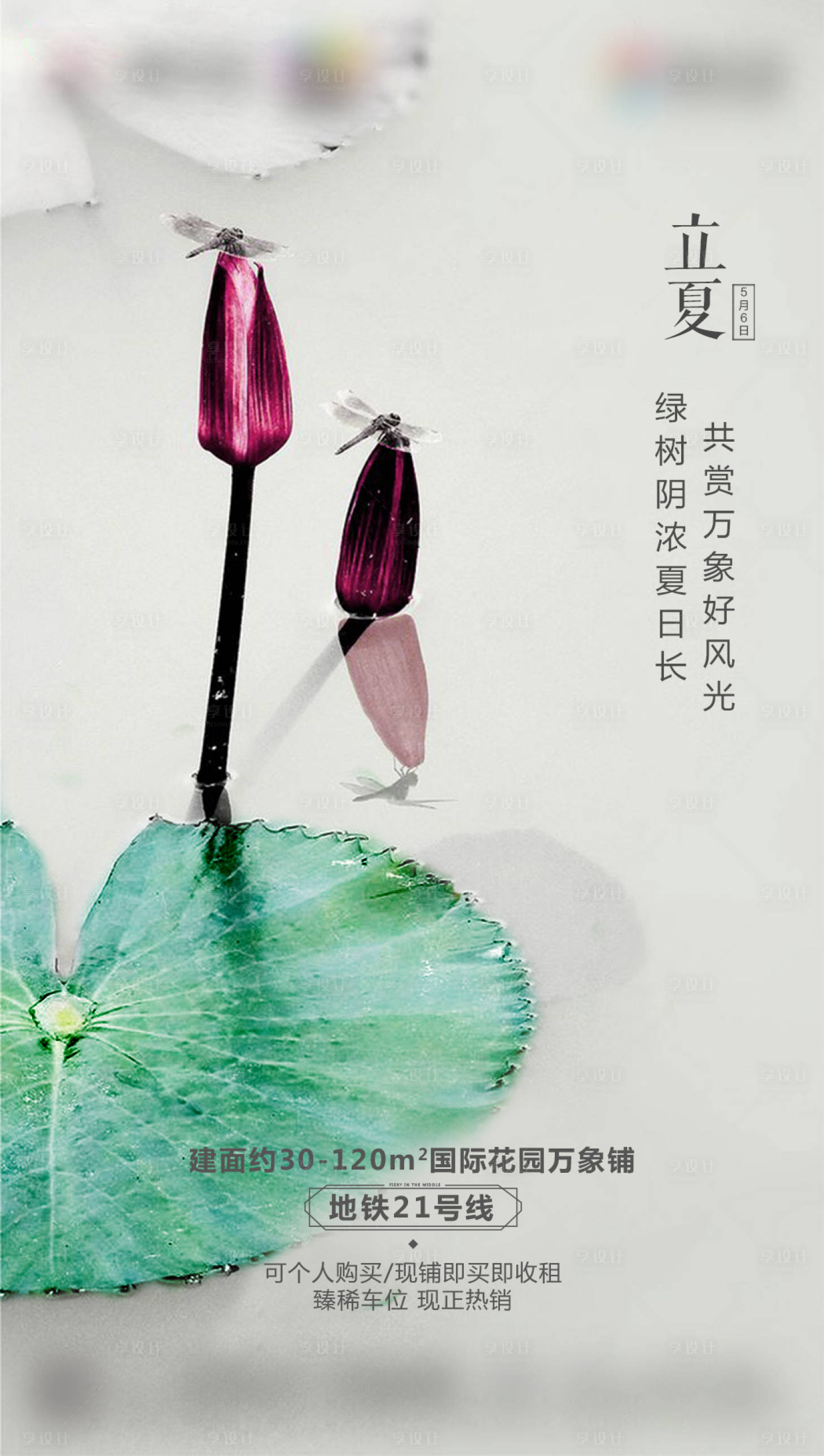 源文件下載【二十四節氣立夏】編號：64060004437677973